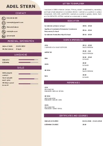 Self Employed resume example